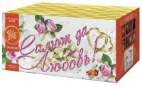 Салют Салют да любовь ЕС553 купить от производителя ФейерЛэнд — Дмитров